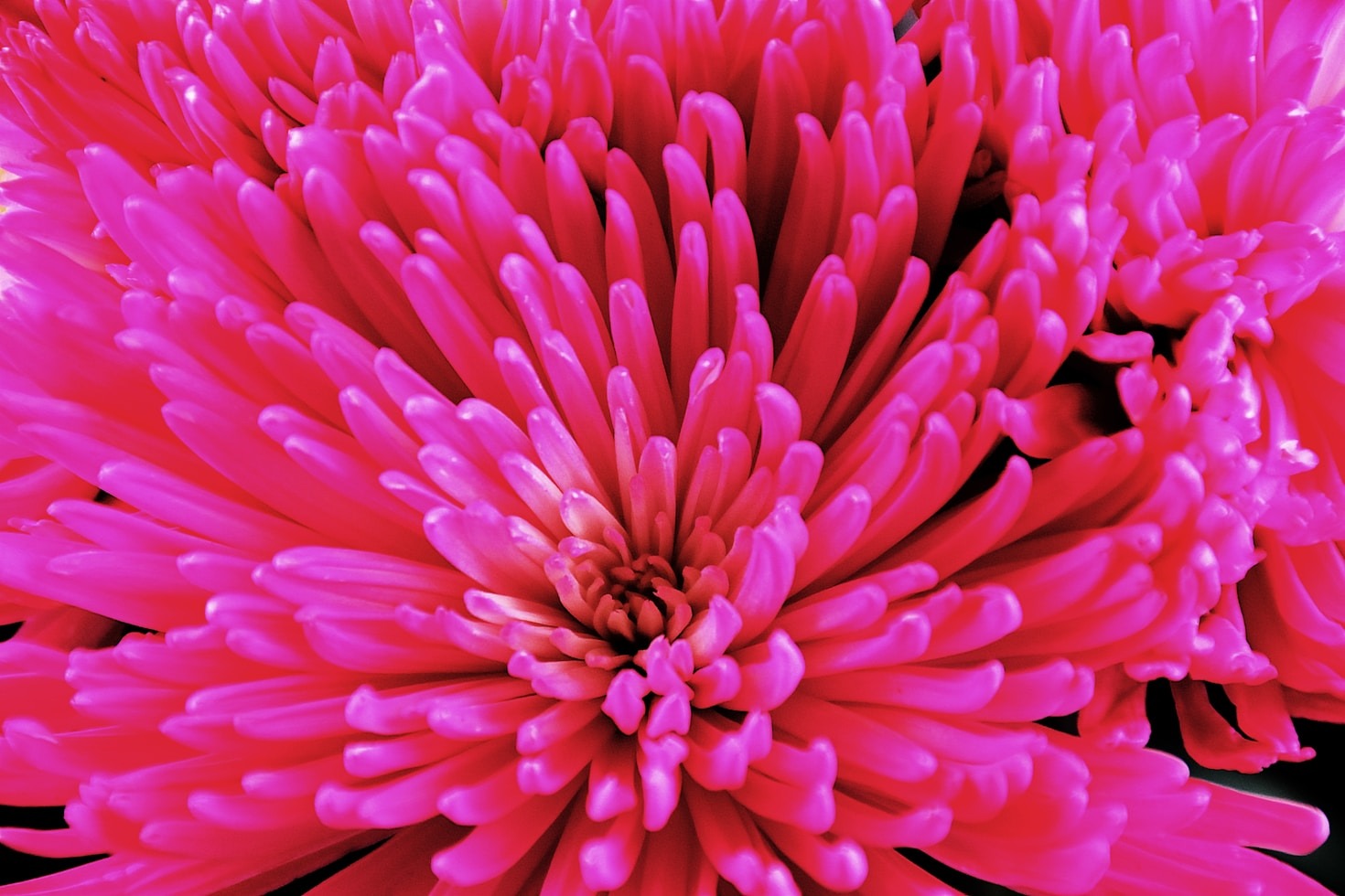 Die Rolle von Ernährung in einem langen Leben